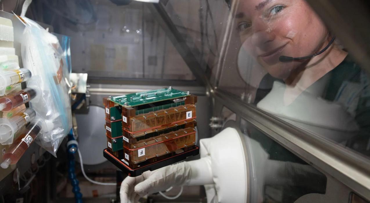 Космический бум создает нагрузку на цепочки поставок, предупреждает отраслевой отчет