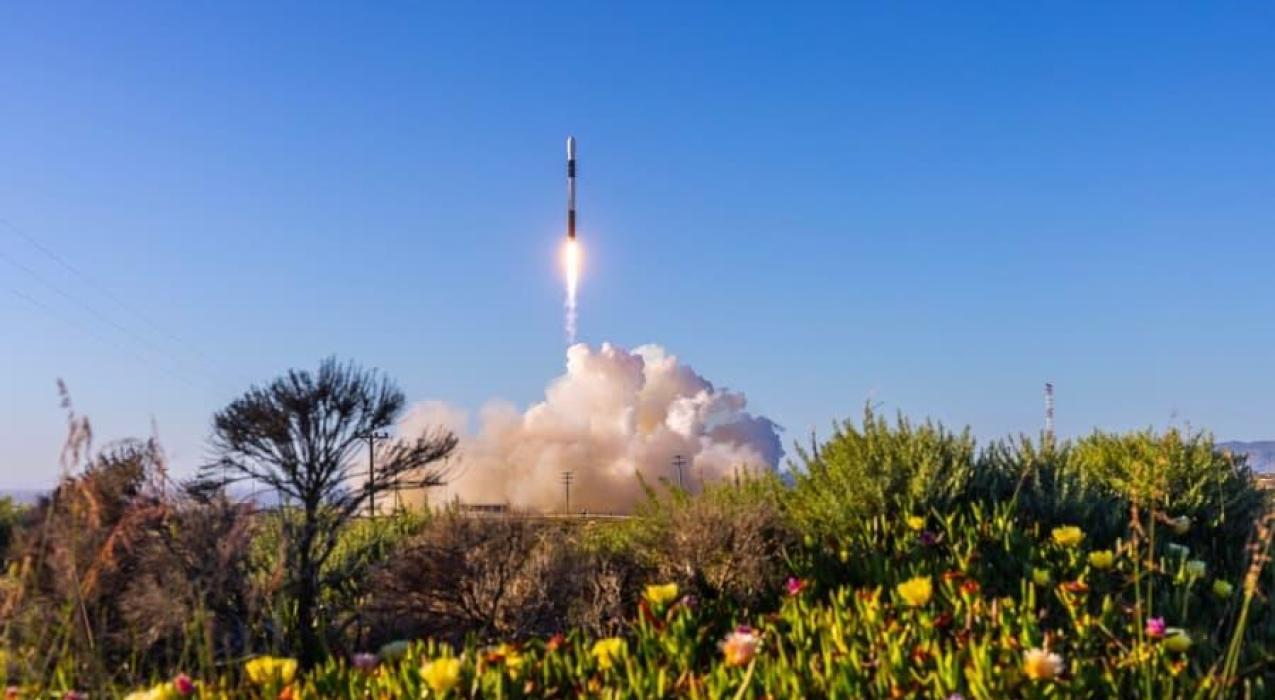 Firefly alpha блок 1