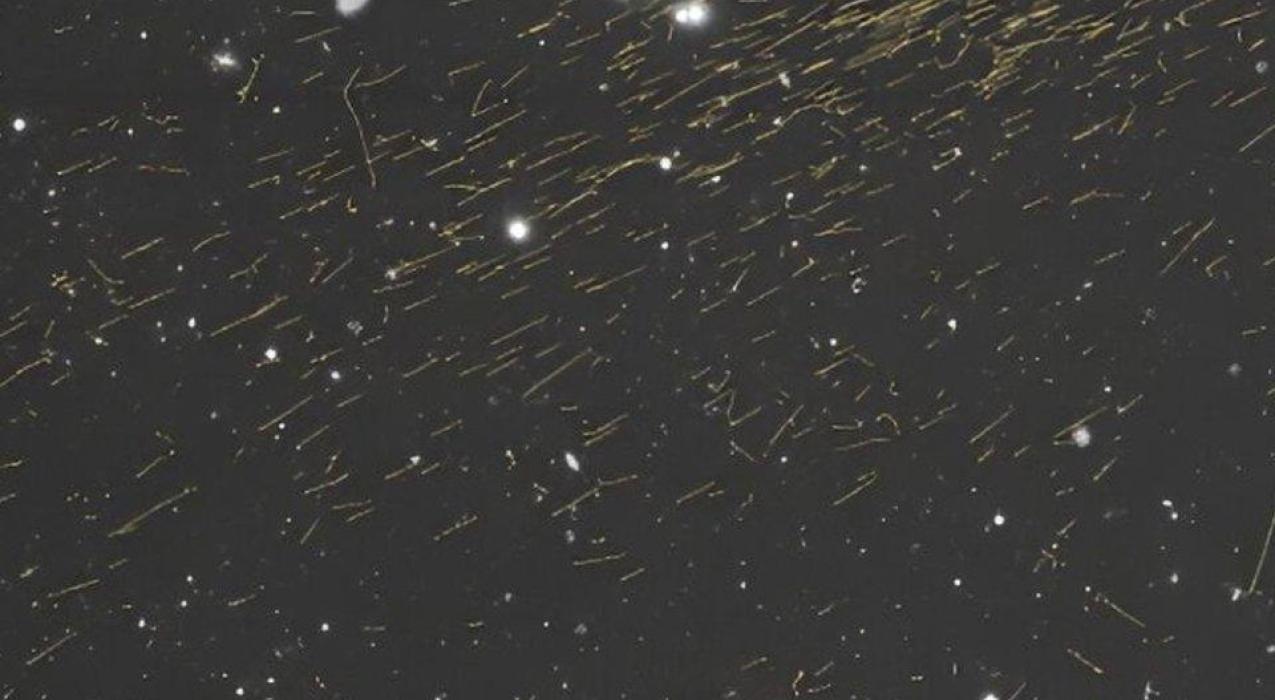 Астрономы впервые сфотографировали мощнейшие космические ливни