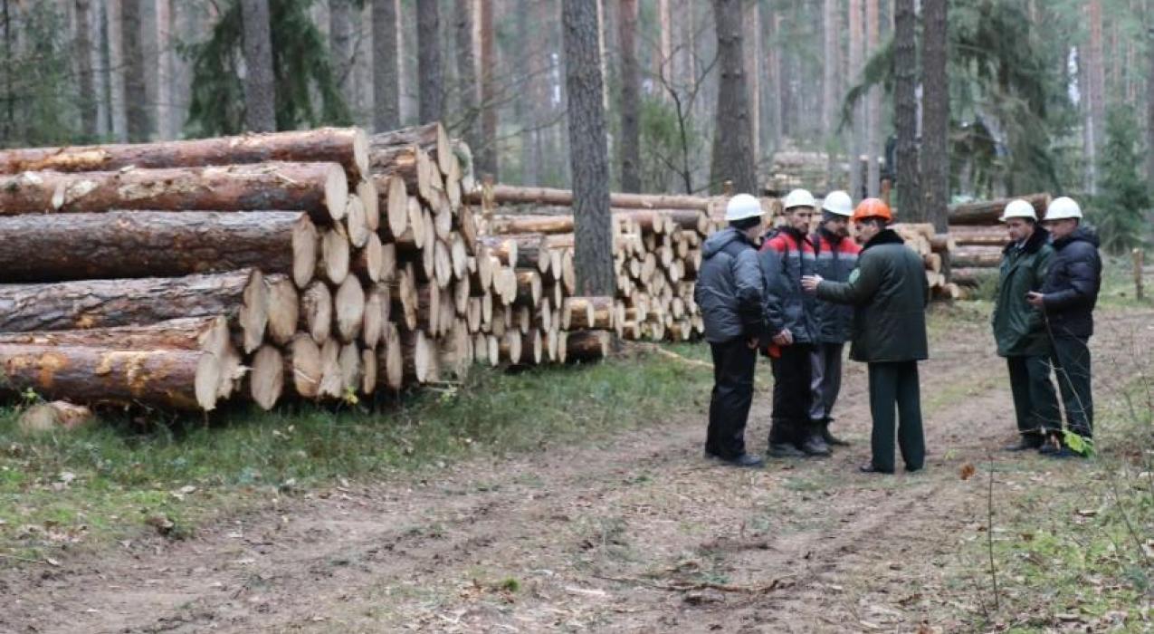 Рослесхоз- данные дистанционного зондирования Земли позволят лучше выполнять работы по сохранению лесов